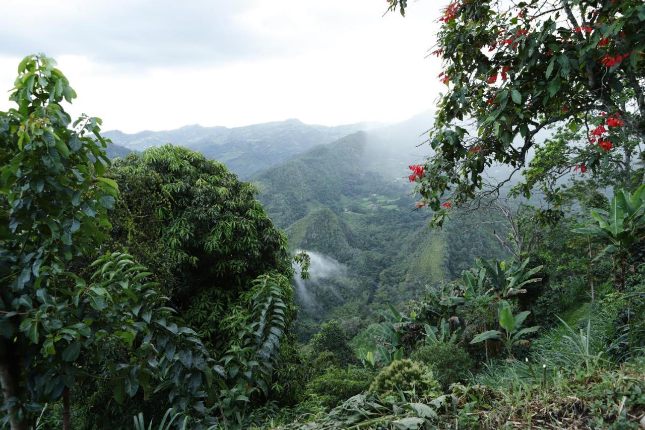 Ecohotel Monteverde La Vega  Luaran gambar