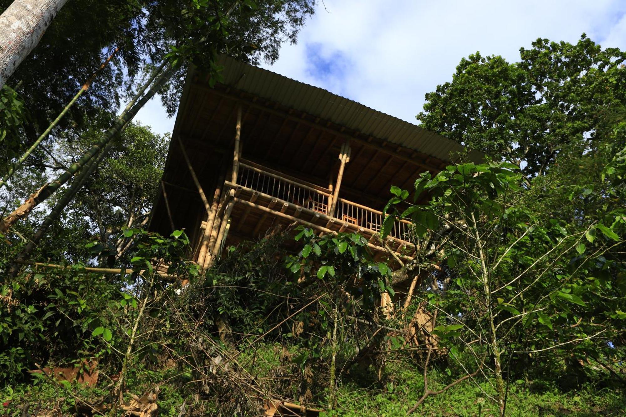 Ecohotel Monteverde La Vega  Luaran gambar