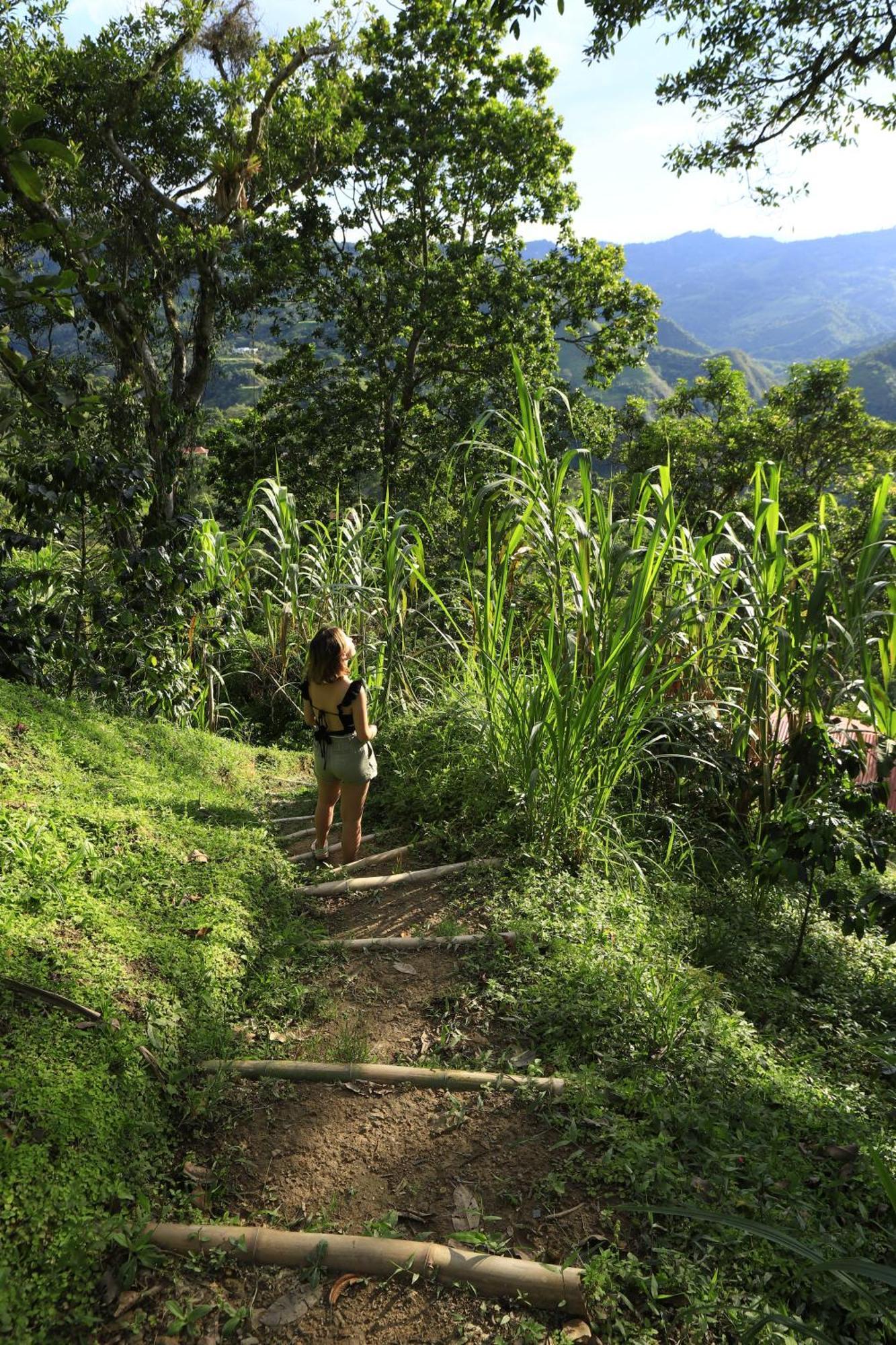 Ecohotel Monteverde La Vega  Luaran gambar